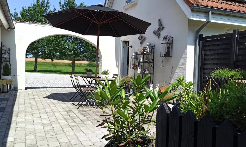 Dragondrum Bed & Breakfast photo