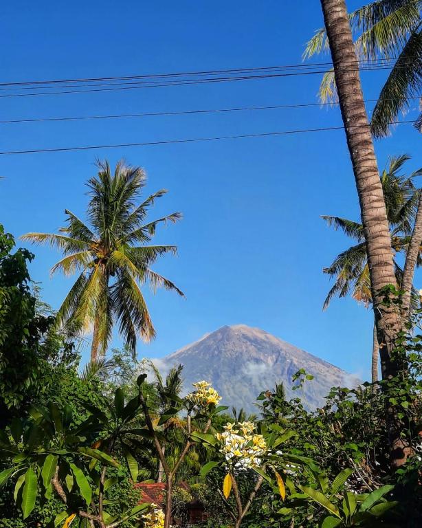 Bumbung Bungalows photo