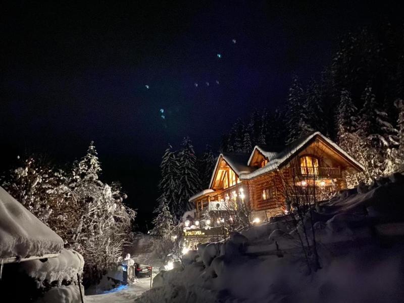 Chalet Caprea - 3