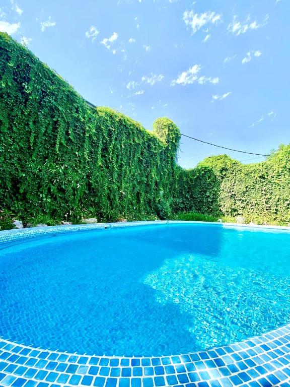 Ridon Lux Hotel photo