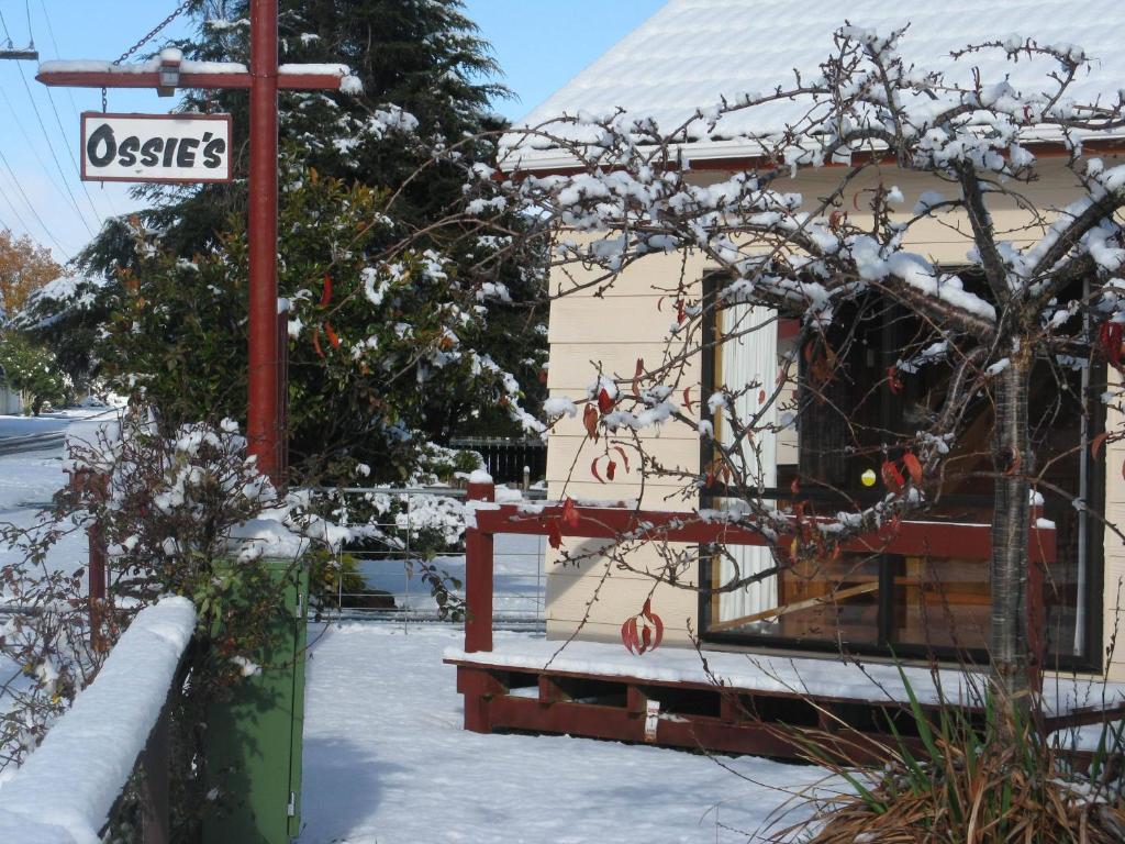 Ossies Motels and Chalets photo