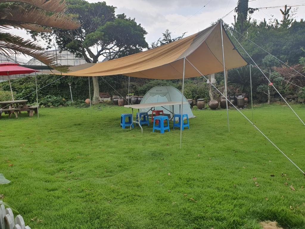 Dove house photo