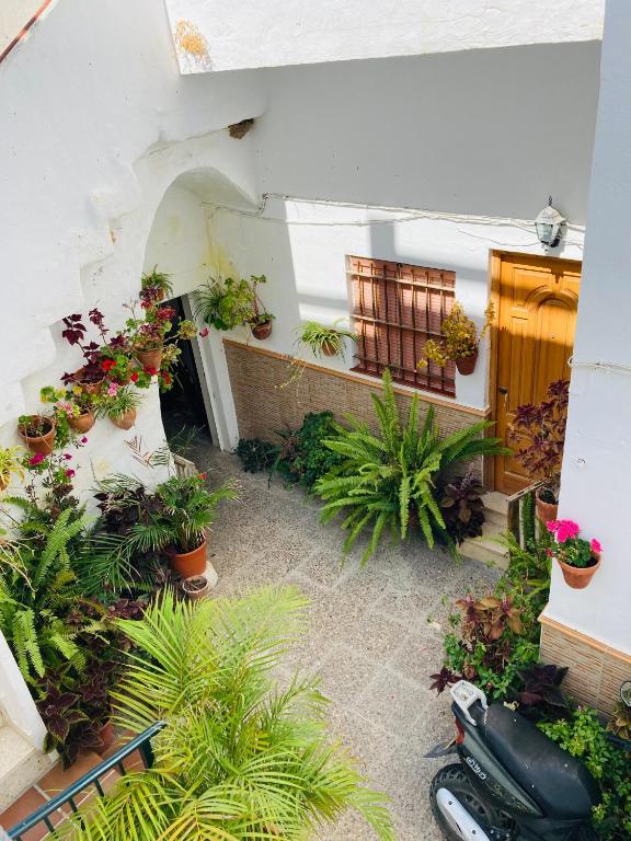 Apartamento Conil centro - 2