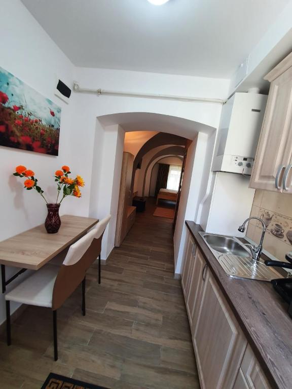 Radu Apartament photo