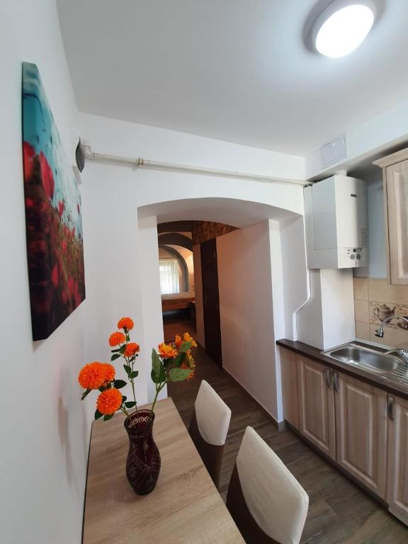 Radu Apartament photo