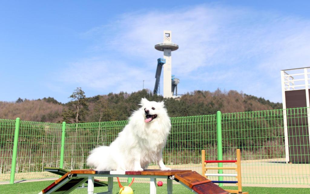 피트니스 센터