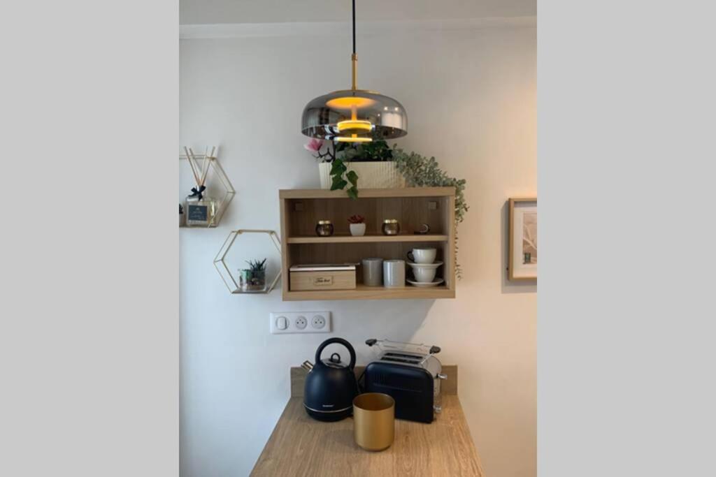 Joli appartement haut standing en hyper centre - 4