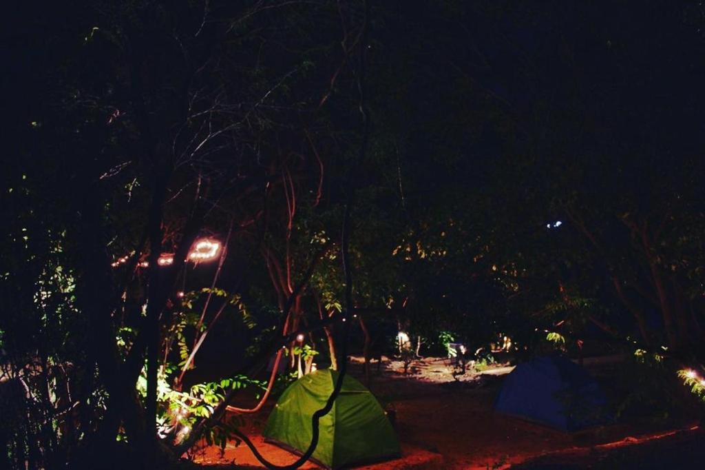 Tom & Jerry Campsite photo