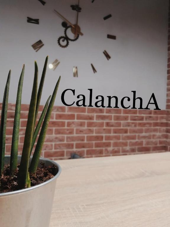 CalanchA — Hotel in Ryazan