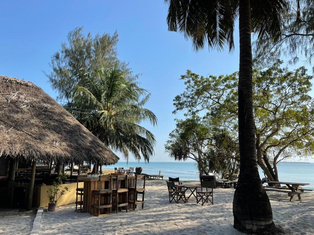 Mikadi Beach Camp & Backpackers photo