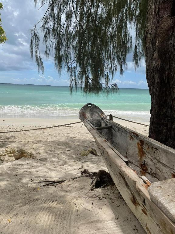 Mikadi Beach Camp & Backpackers photo
