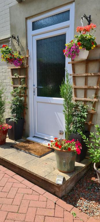Beach Cottage — Hotel in Isle of Wight