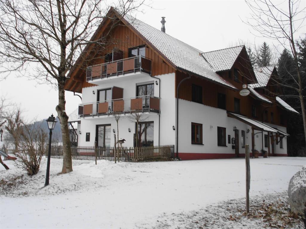 Gasthof Gruner Baum "Kongo" photo