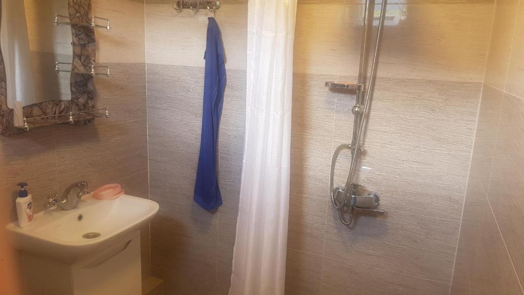 Hostel SvanLand photo