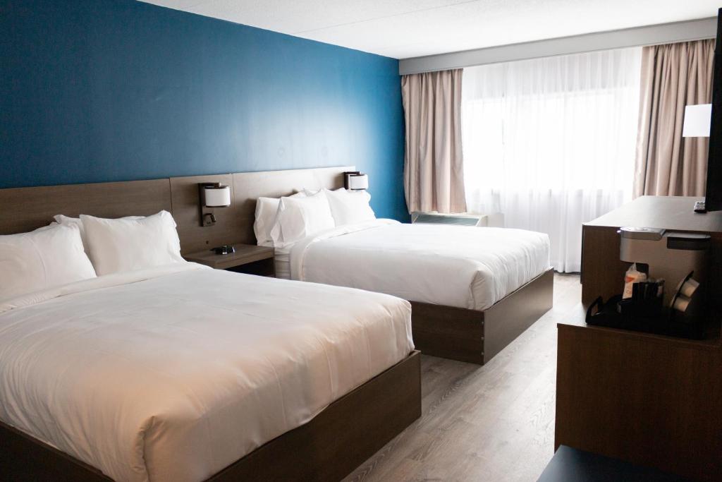 Comfort Suites Kingston Central photo
