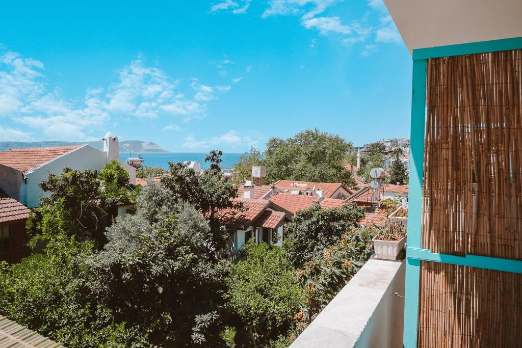 Kuytu Terrace Bed and Breakfast photo