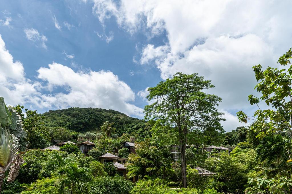 Surrounding environment