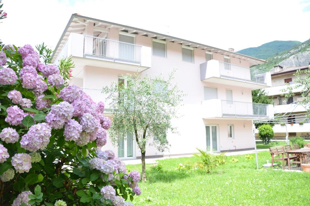 Geranio-Buganville - 1
