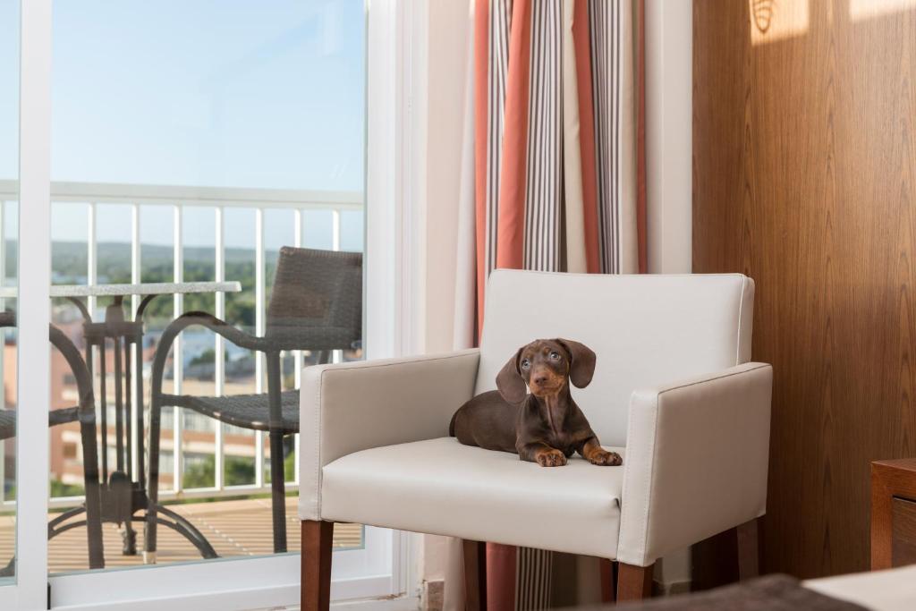Hotel Torre Azul & Spa - Adults Only — Hotel rooms in Playa de Palma, Balearic Islands