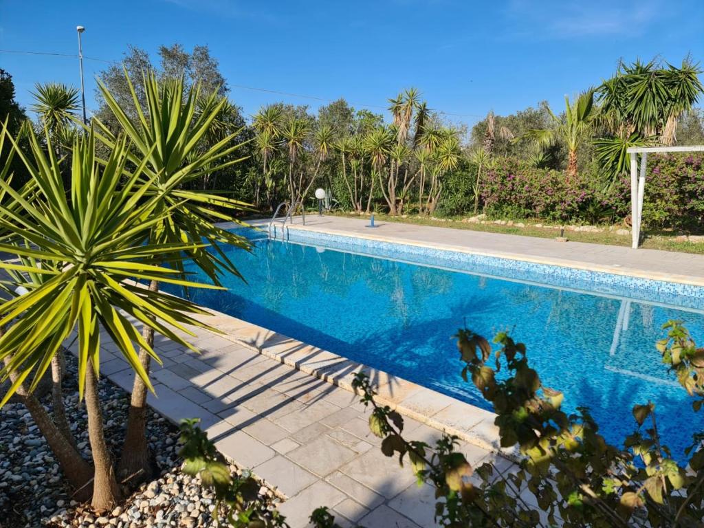 Villa degli Abbracci - San Vito dei Normanni - swimming pool 전경