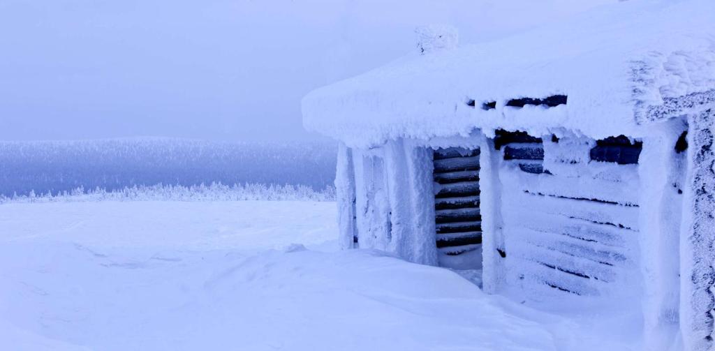 Surrounding environment