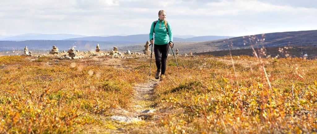 Sports and activities