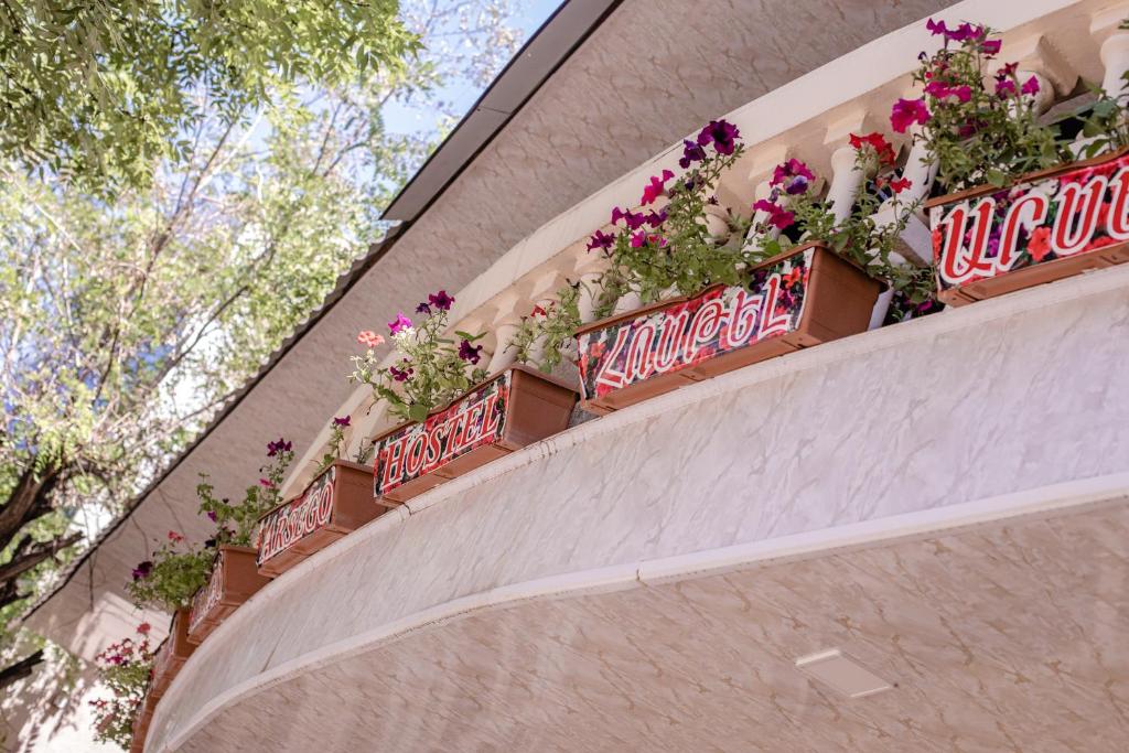 Arsego Hostel photo
