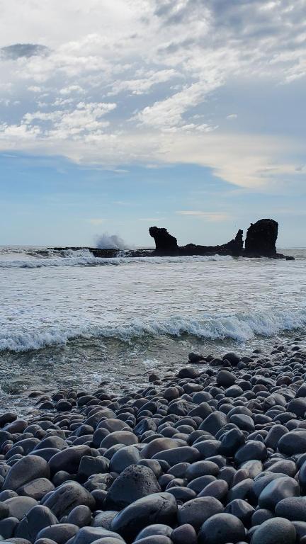 Layback Surf Hotel photo