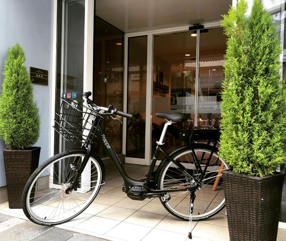 Hotel Weidenhof photo