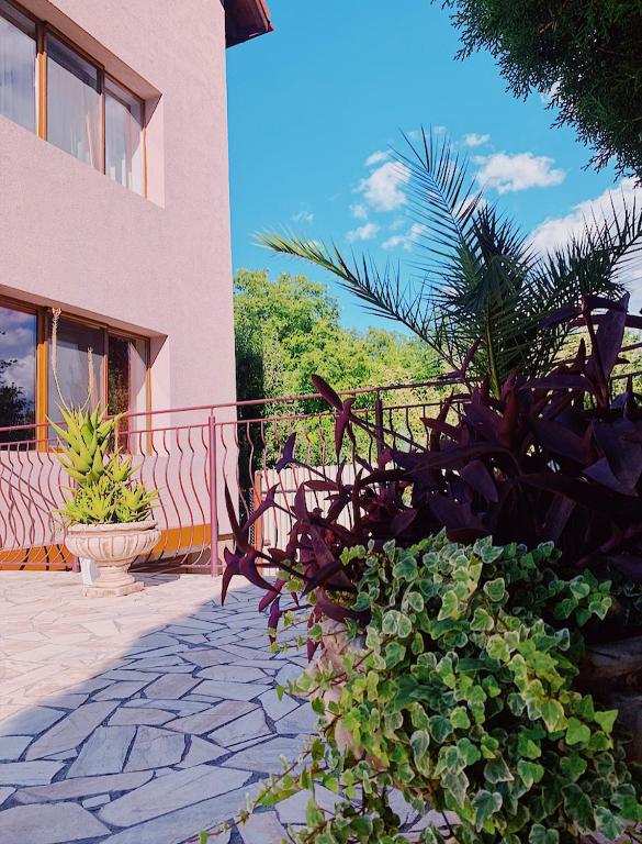 Zen Residence photo