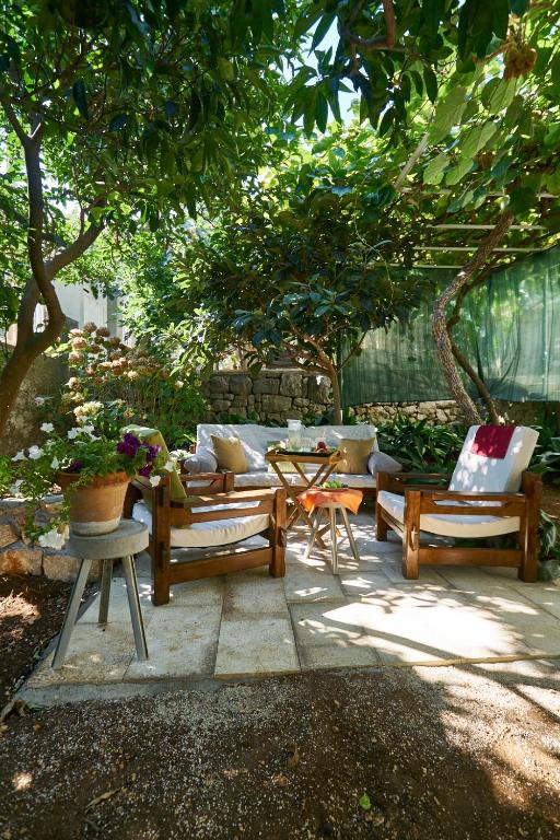 Aspidistra Shadow, Dubrovník