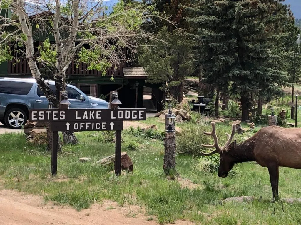Estes Lake Lodge，位于埃斯蒂斯帕克的酒店