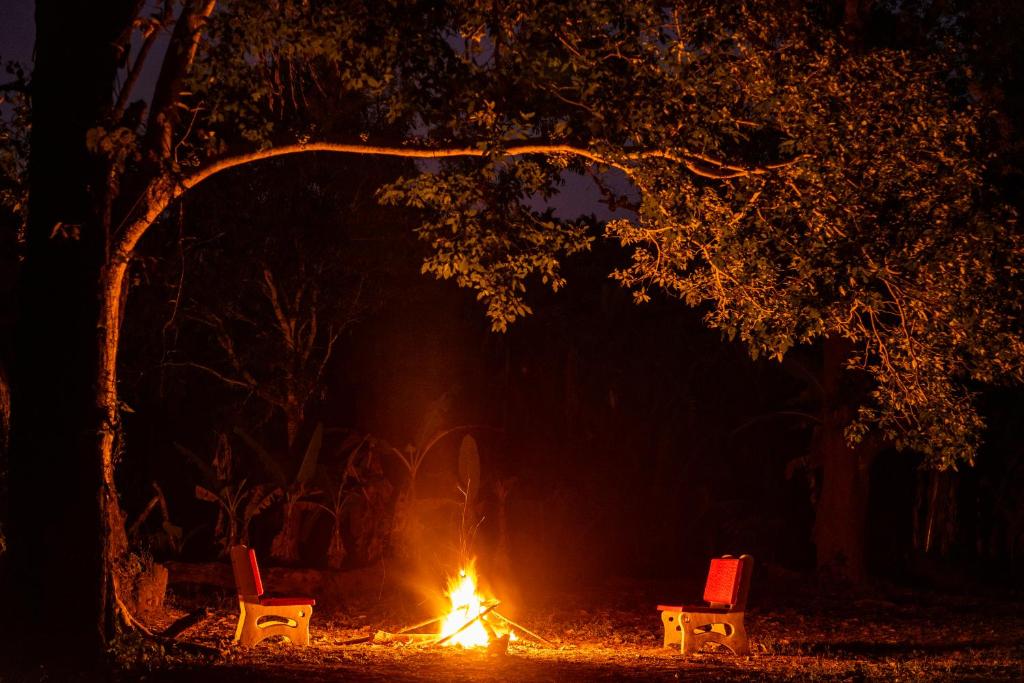 Teju Kutir photo