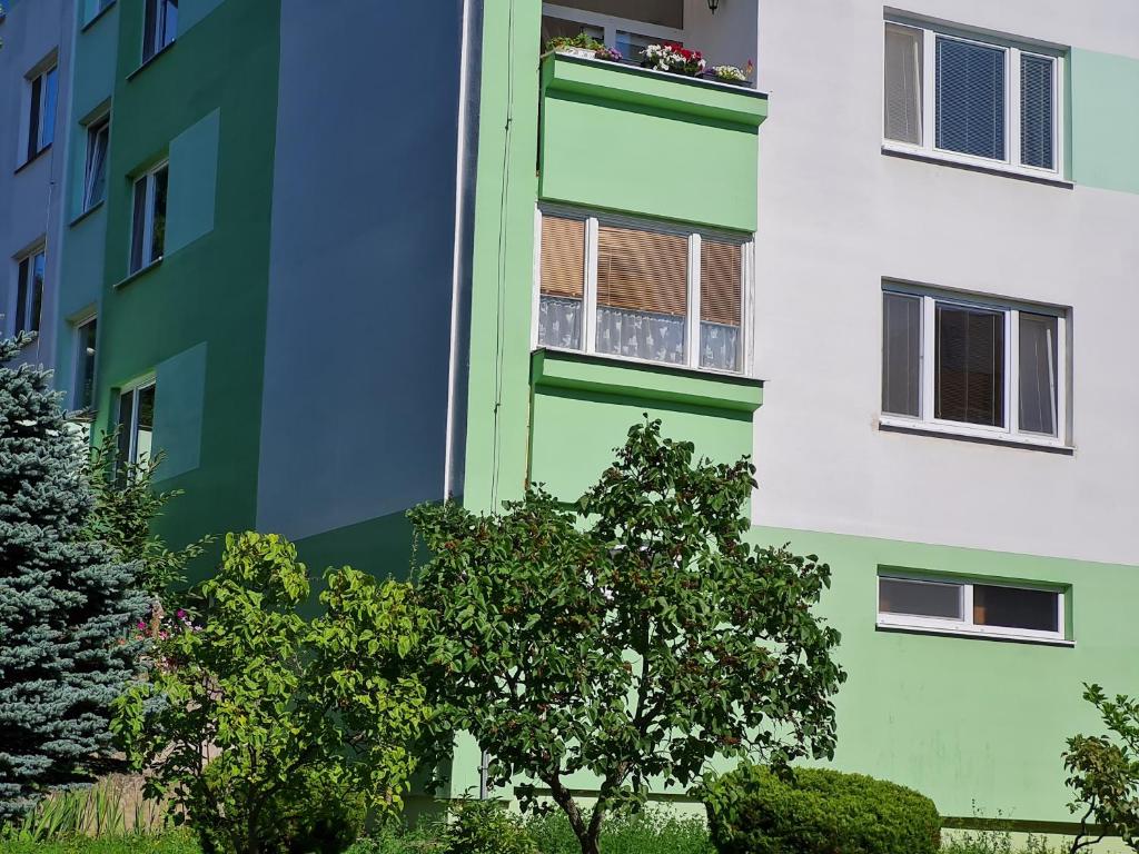 Apartman Anro photo