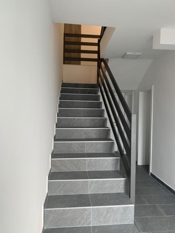 Filipovic rent a car & apartments photo