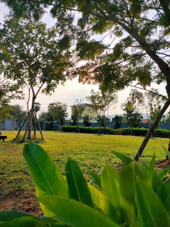 Jardí