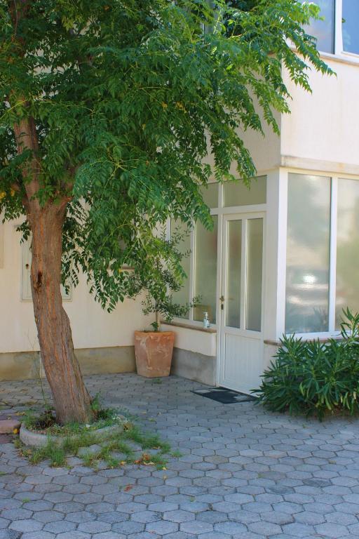 Apartments Maria Rab photo
