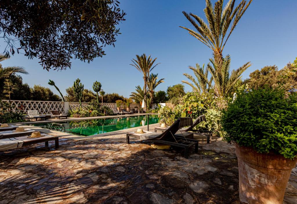 Le Riad Villa Blanche photo