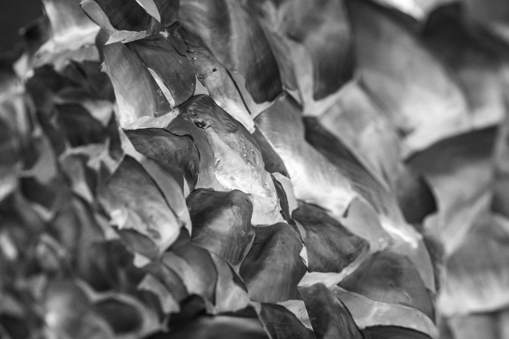 フロント・ロビー