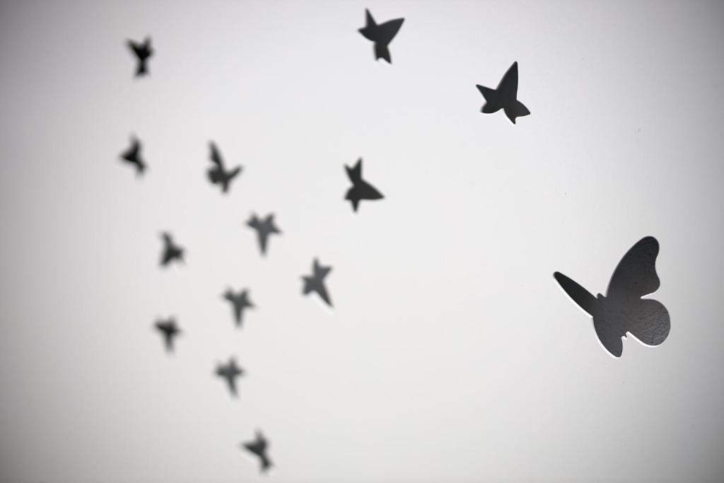 A szálláshely kívülről