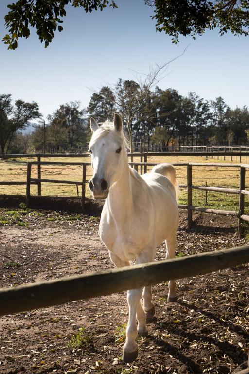 Aasvoelkrans Guest Farm photo