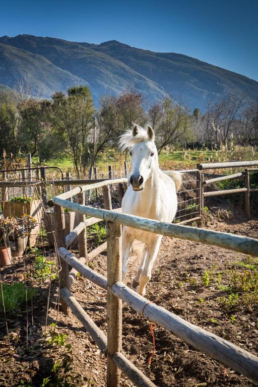 Aasvoelkrans Guest Farm photo