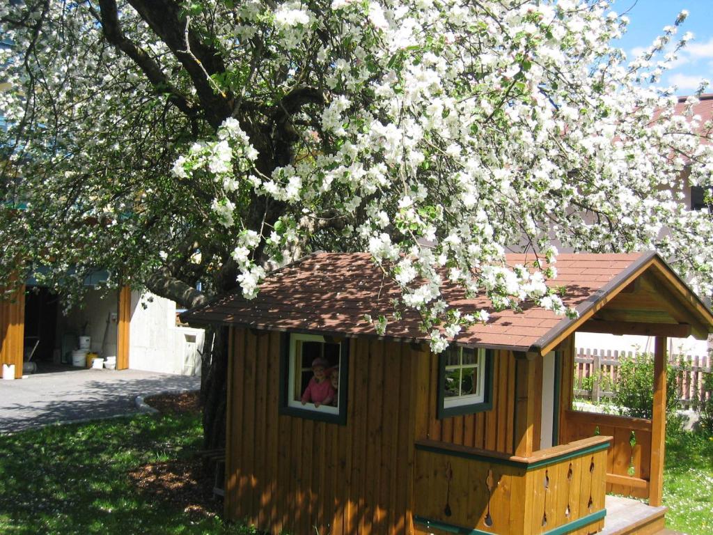 Gästehaus Pilz Schladming - 4