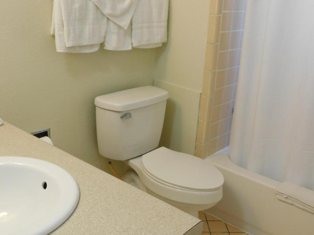 Royal Host Motel photo