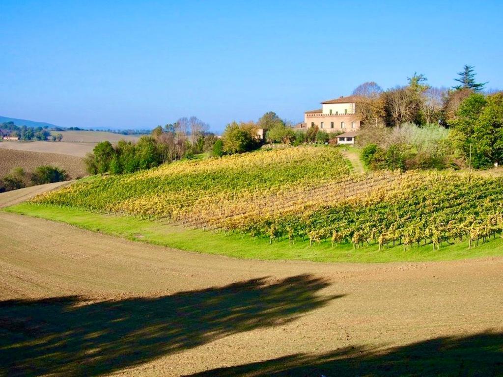 Agriturismo Poggiarellino - Montalcino - 1