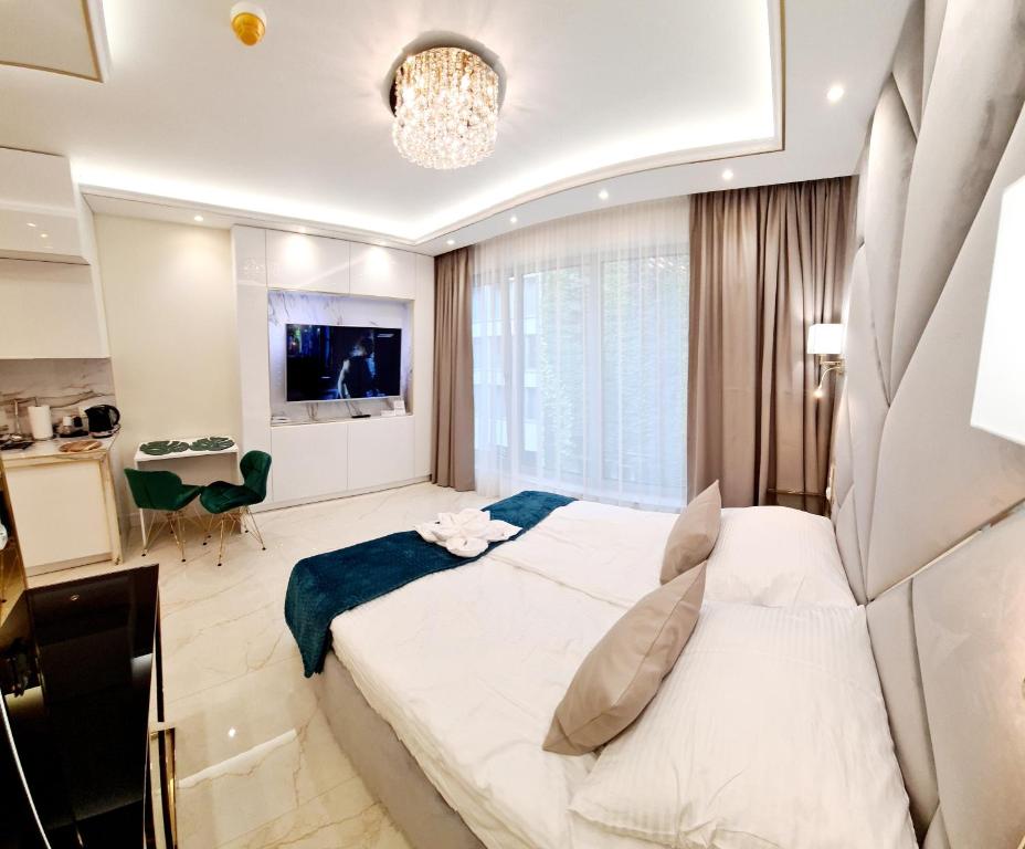 Ảnh 2