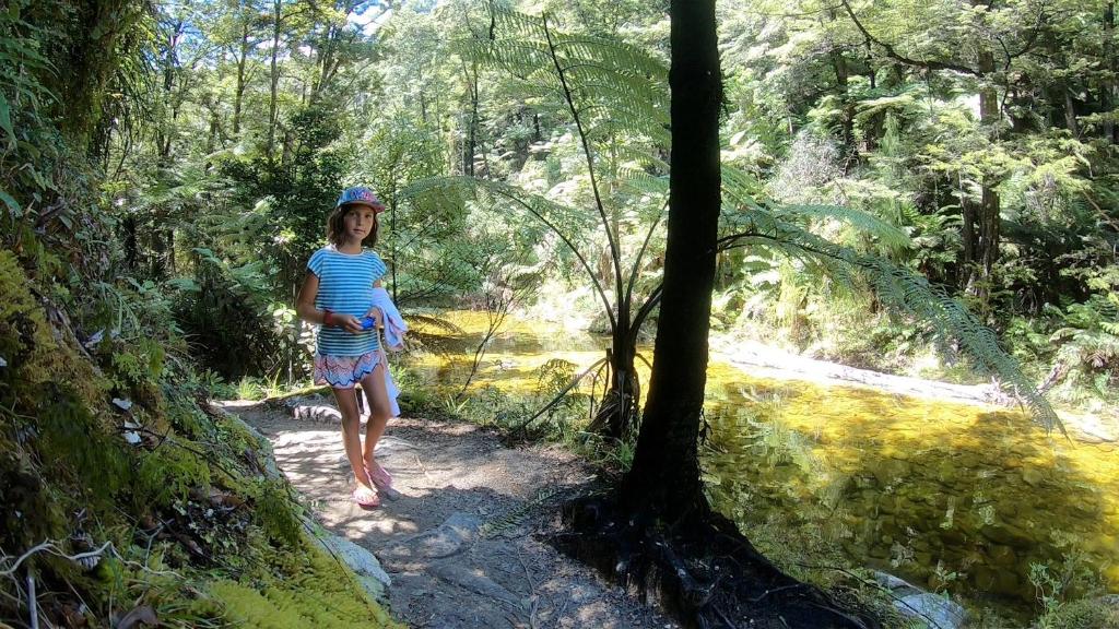 Surrounding environment