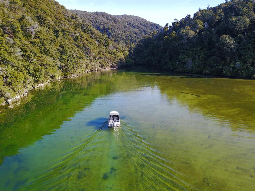 Surrounding environment