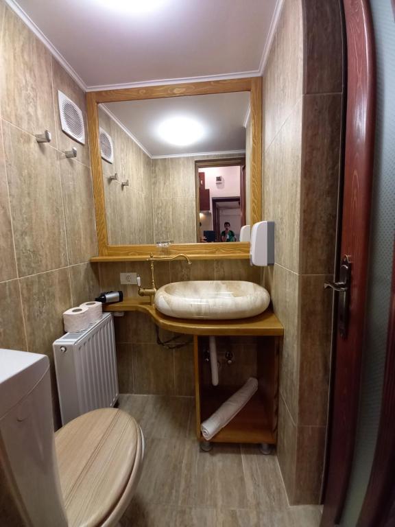 History Apartments Cetatii photo