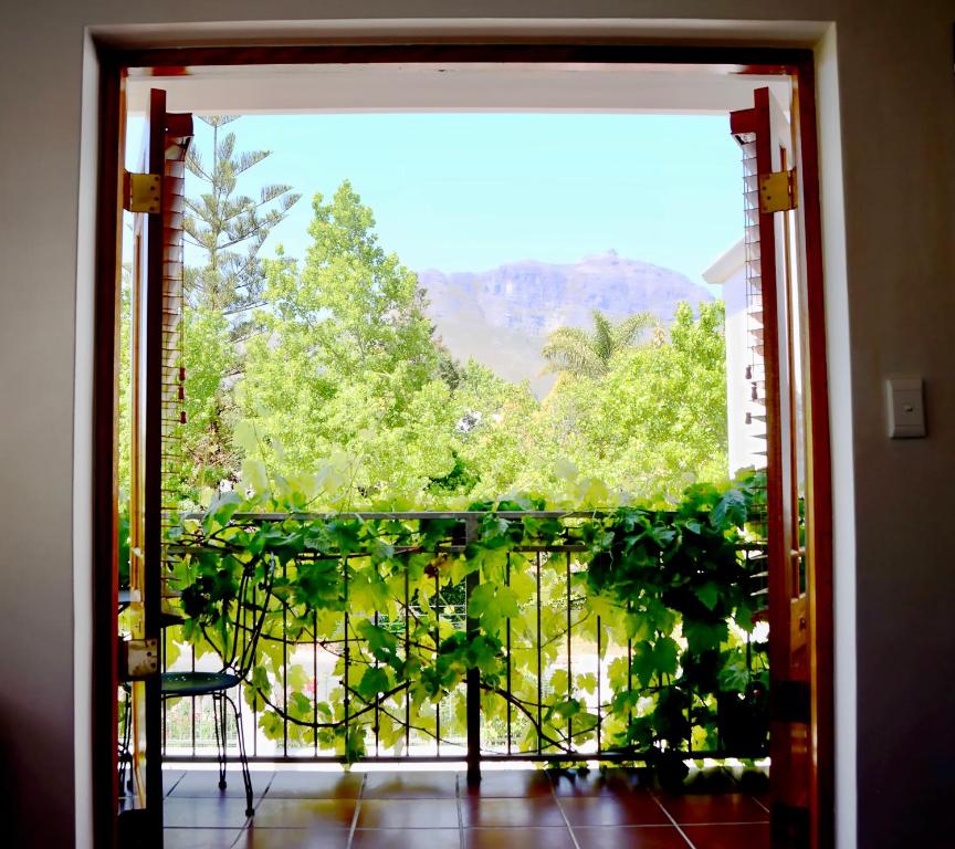 Penelope's Stellenbosch photo